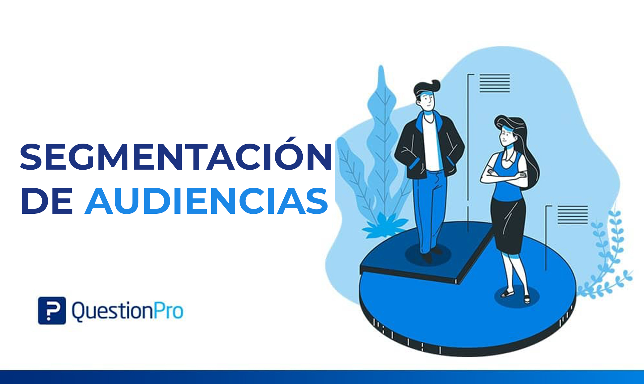 Segmentación de audiencias: Qué es, importancia y estrategias